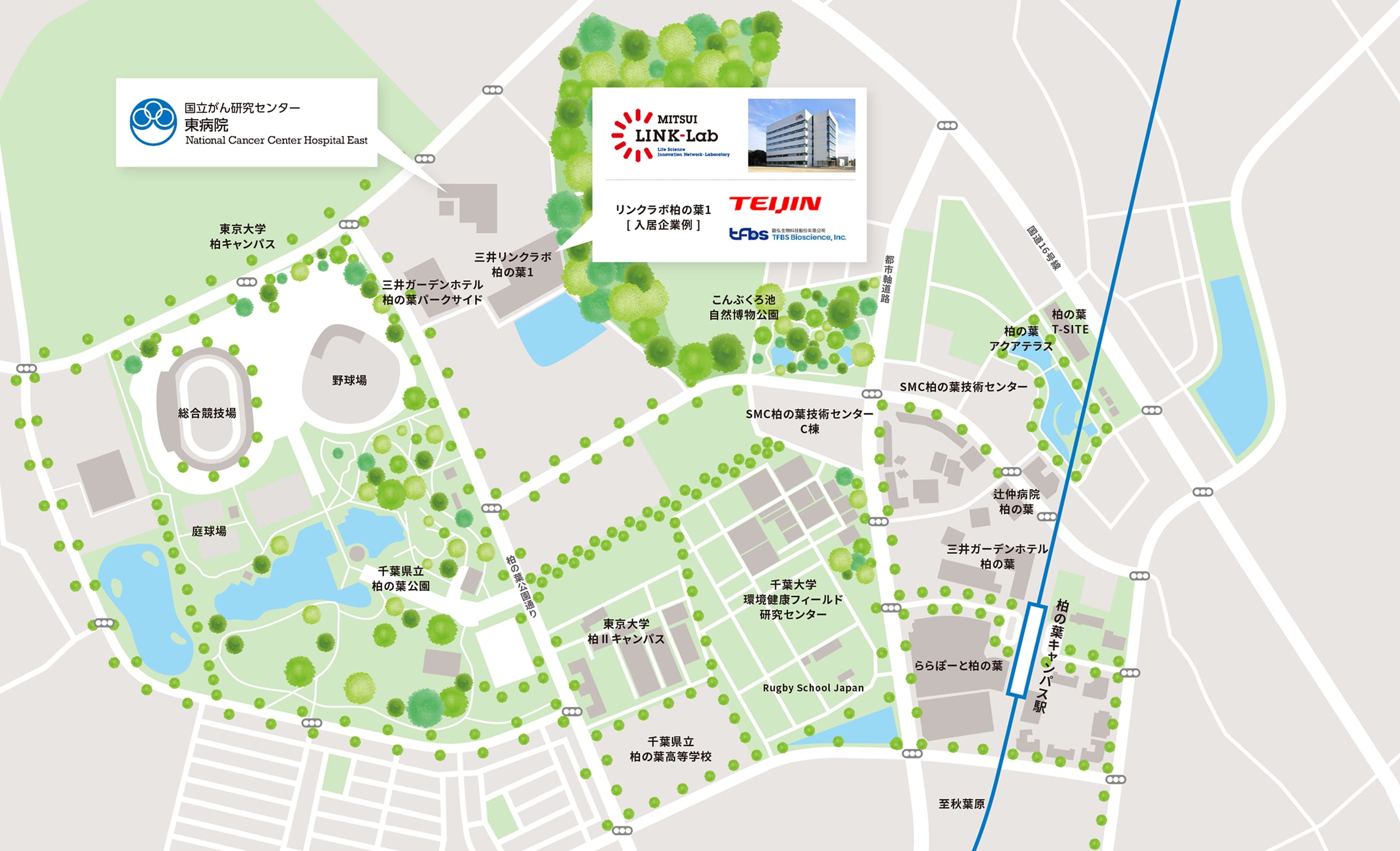 About Kashiwanoha City